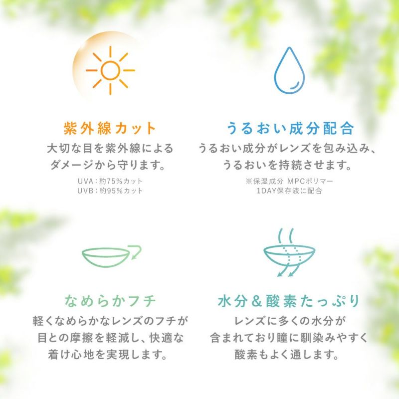 【定期購入】LENS LiST 1day サークル 2ヶ月分 合計120枚 レンズリスト カラコン