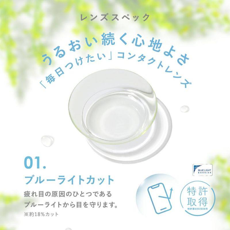 【定期購入】LENS LiST 2week クリア 3ヶ月分 合計12枚 レンズリスト コンタクトレンズ